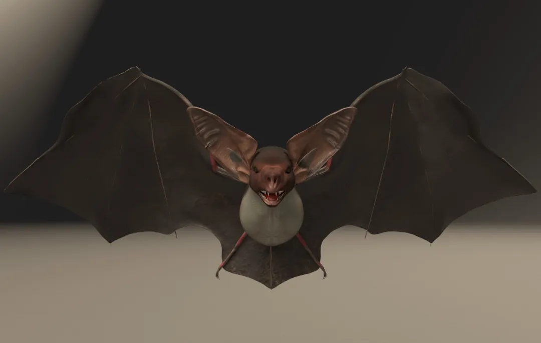3D Modelling