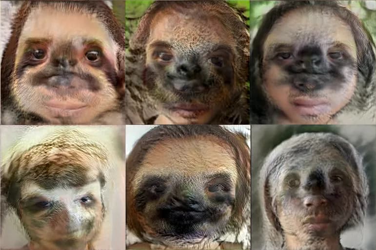 Vu + Sloth (Vloth)